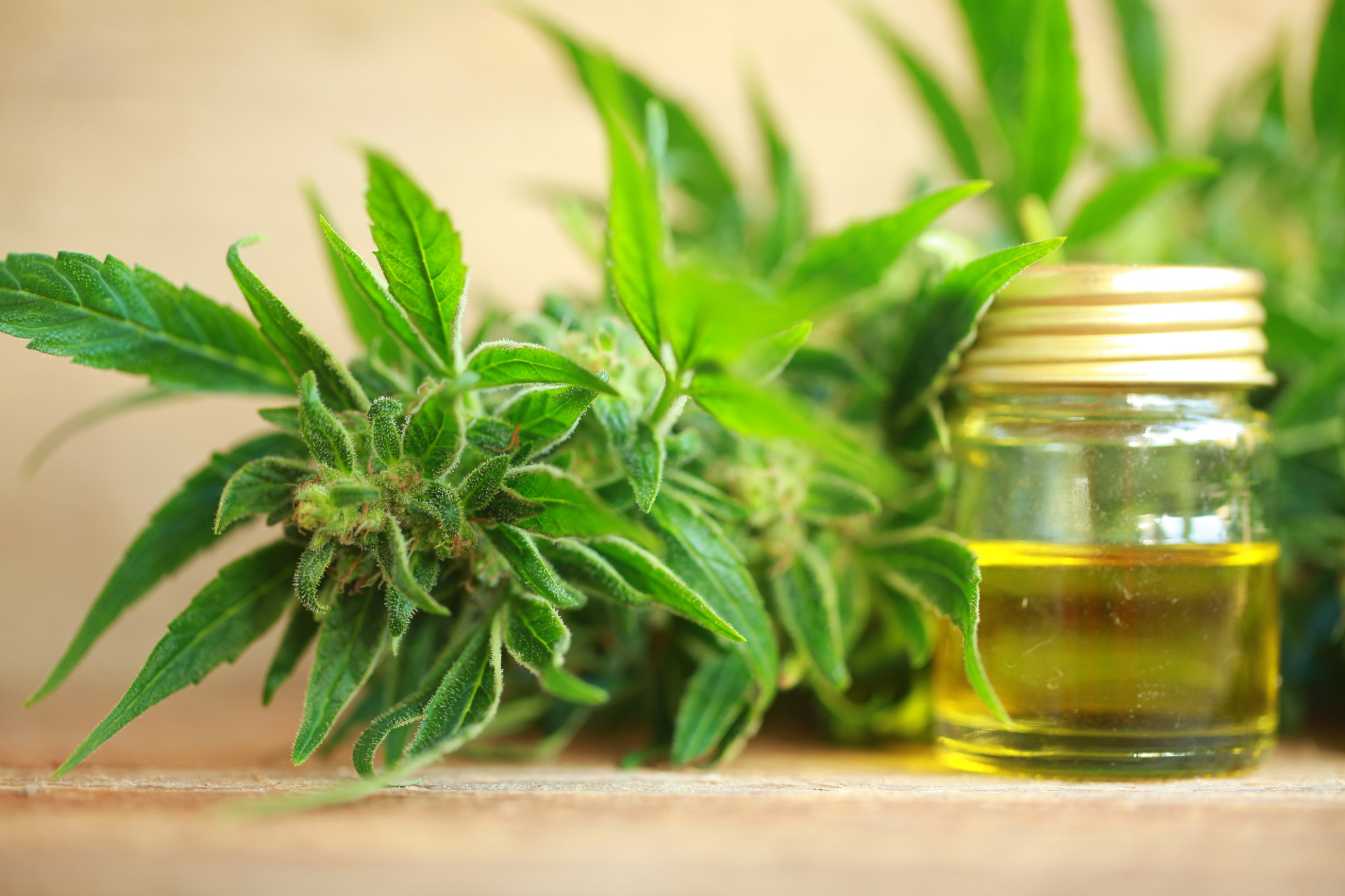 spi v klidu_CBD_epiderma